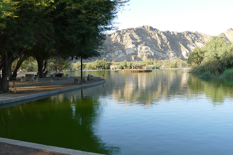 Gallery Goanikontes Oasis Goanikontes