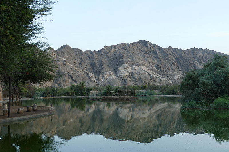 Gallery Goanikontes Oasis Goanikontes